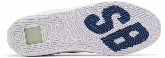 Shop (青少年款)Nike Day One SB 'Sanddrift' FN4210-100