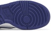 Purchase (JR) Nike Dunk Low 'Concord' FB9109-106