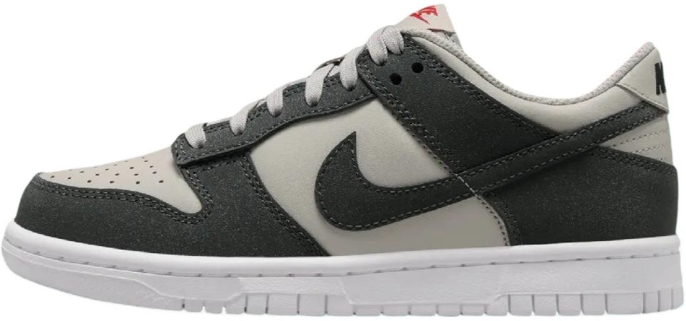 youth-nike-dunk-low-light-iron-ore-anthracite-glitter-fz-1000-001