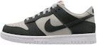 Buy (JR) Nike Dunk Low 'Light Iron Ore Anthracite Berkilau' FZ1000-001