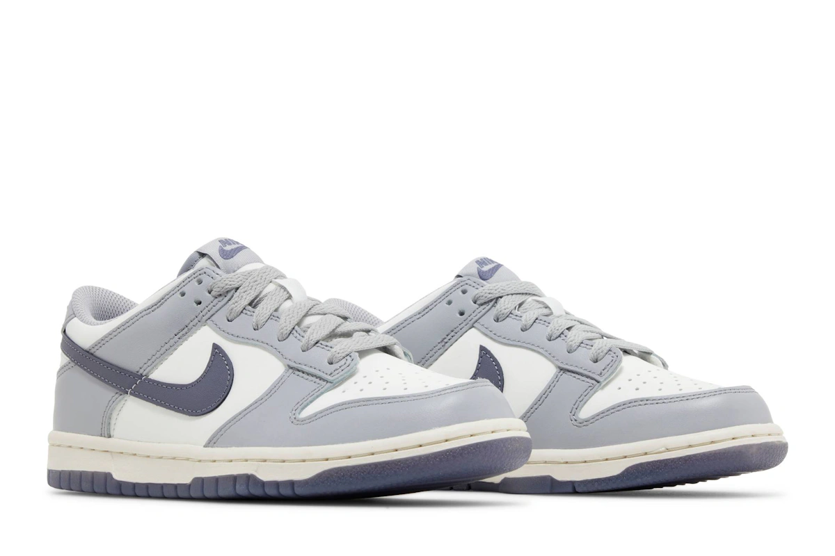 (Youth) Nike Dunk Low 'Platinum Tint Light Carbon' FB9109-101