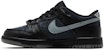 (JR) Nike Dunk Low 'Simbiot' HQ3815-001