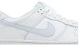 Order (青少年) 耐吉 Dunk Low '白灰青' FD9911-101