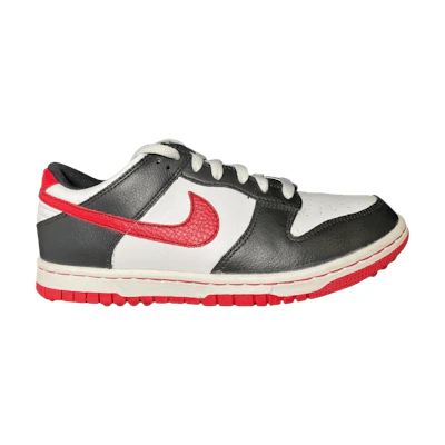 (Youth) Nike Dunk NG 'White Black University Red'