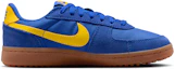 Details for (Youth) Nike Field General 'Hyper Royal Lightning' IF0465-402