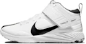 Buy (JR) Nike Force Trout 7 Turf ''Blanc Turquoise Dynamique'' DC9217-102