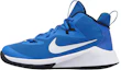 Buy (JR) 耐克Future Court“蓝/白” AJ2615-400
