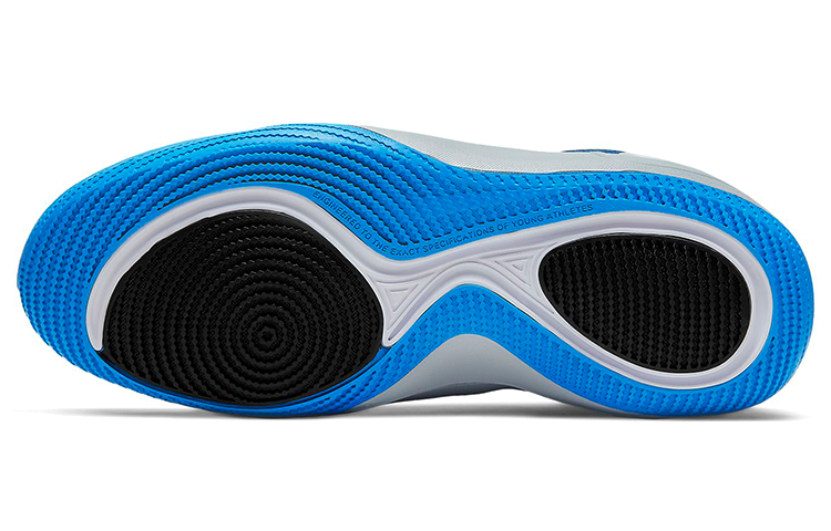 Details for (JR) Nike Future Flight 2 Gris/Bleu AT5687-003