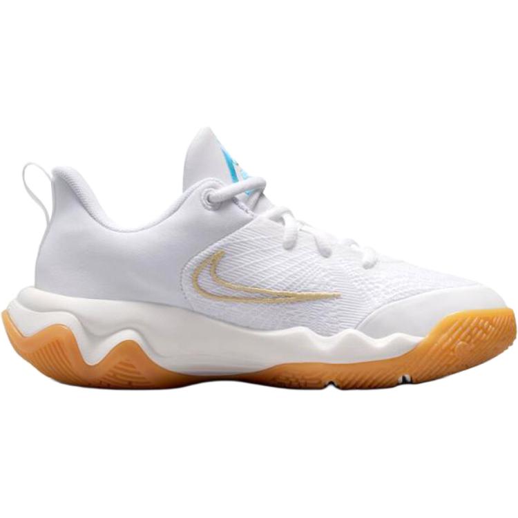 Order (JR) Nike Giannis Immortality 4 ''Blanc Bleu Aquarius'' IH7664-100