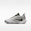 Order (Youth) Nike Giannis Immortality 5 'White Off White Light Smoke Grey Metallic Silver' IM7588-102
