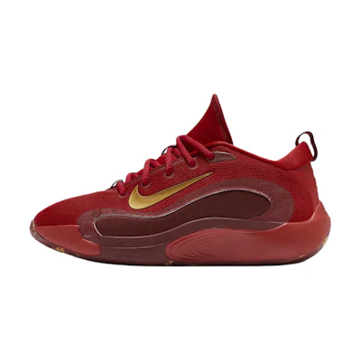 (Youth) Nike IsoFly 'Gym Red Metallic Gold'