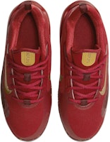 (JR) (青少年款)Nike IsoFly '健身紅金屬金' 型號FZ7298-600 FZ7298-600 Shop (JR) (青少年款)Nike IsoFly '健身紅金屬金' 型號FZ7298-600 FZ7298-600