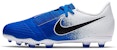(PS) Nike JR Phantom Venom Academy FG 'Putih Biru' AO0362-104