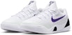 (Youth) Nike Kobe 9 EM 'Lakers Home' FV3607-101