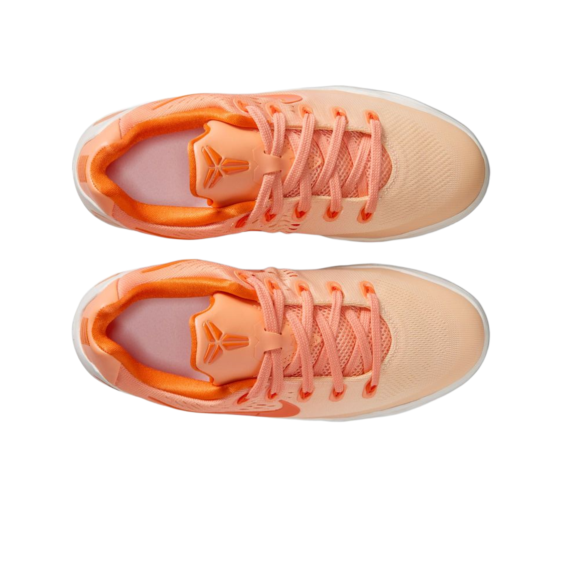 Order (JR) 나이키 코비 9 로우 EM ''WNBA'' IM6641-800