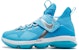(JR) Nike LeBron 14 'The Nature Boy' Lelaki Alam AA3258-404