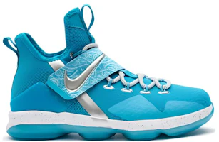 Order (Youth) Nike LeBron 14 'The Nature Boy' AA3258-404