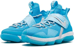 Lookbook (Youth) Nike LeBron 14 'The Nature Boy' AA3258-404