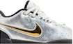 Order (JR) Nike LeBron 21 SE 'All-Star' Lelaki Serba Bintang FJ1530-001