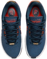 (JR) 나이키 르브론 21 SE '올림픽' FV3606-400 Shop (JR) 나이키 르브론 21 SE '올림픽' FV3606-400