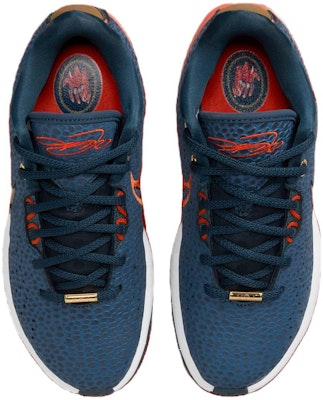 (Youth) Nike LeBron 21 SE 'Olympic' FV3606-400 Shop (Youth) Nike LeBron 21 SE 'Olympic' FV3606-400