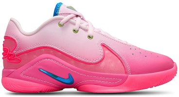 (Youth) Nike LeBron 22 'I Promise' HV8617-600 (Youth) Nike LeBron 22 'I Promise' HV8617-600