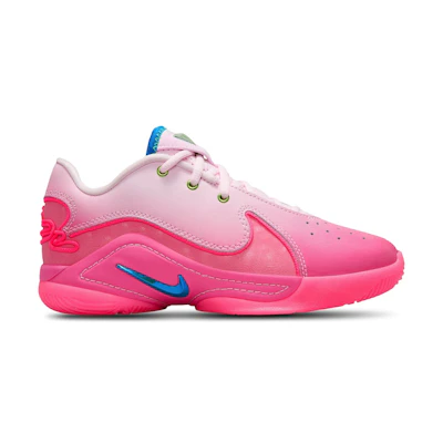 (Youth) Nike LeBron 22 'I Promise'