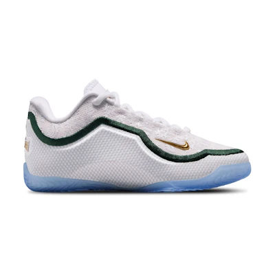 (Youth) Nike LeBron 23 From This Point Forward