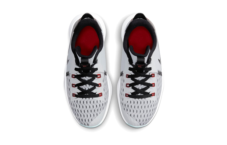 Shop (JR) Nike LeBron Witness 5 ''Reines Platinum Light Dew'' CT4629-006