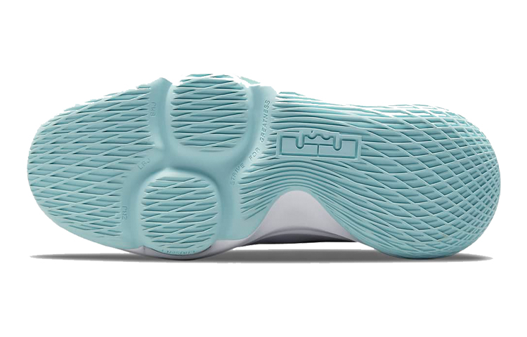 Details for (JR) Nike LeBron Witness 5 ''Reines Platinum Light Dew'' CT4629-006