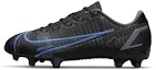 Buy (JR) Nike Mercurial Vapor 14 Academy FG MG 'Hitam Biru Foto' CV0811-004
