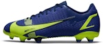 Buy (JR) Nike Mercurial Vapor 14 Academy FG MG 'Lapis Volt' Lelaki & Wanita CV0811-474