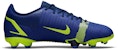(JR) Nike Mercurial Vapor 14 Academy FG MG 'Lapis Volt' Lelaki & Wanita CV0811-474