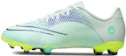 Buy (JR) Nike Mercurial Vapor 14 Academy MG 'Dream Speed - Hijau Muda Ungu Elektro' CV0813-375