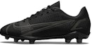 Buy (JR) Nike Mercurial Vapor 14 Club FG MG 'Hitam Kelabu Besi' CV0823-004