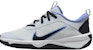 (Youth) Nike Omni Multi-Court 'Football Grey Royal Pulse' DM9027-009