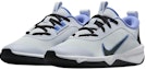 Lookbook (Youth) Nike Omni Multi-Court 'Football Grey Royal Pulse' DM9027-009