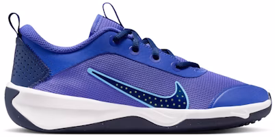 (Youth) Nike Omni Multi-Court 'Persian Violet' DM9027-500 (Youth) Nike Omni Multi-Court 'Persian Violet' DM9027-500