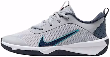 (Youth) Nike Omni Multi-Court 'Wolf Grey Dusty Cactus' DM9027-010 (Youth) Nike Omni Multi-Court 'Wolf Grey Dusty Cactus' DM9027-010