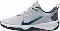 Buy (Youth) Nike Omni Multi-Court 'Wolf Grey Dusty Cactus' DM9027-010
