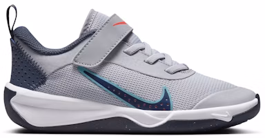 (Youth) Nike Omni Multi-Court 'Wolf Grey Dusty Cactus' DM9026-010 (Youth) Nike Omni Multi-Court 'Wolf Grey Dusty Cactus' DM9026-010