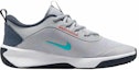 Order (Youth) Nike Omni Multi-Court 'Wolf Grey Dusty Cactus' DM9027-010