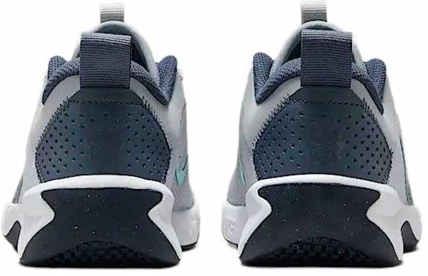 (Youth) Nike Omni Multi-Court 'Wolf Grey Dusty Cactus' DM9027-010 Lookbook (Youth) Nike Omni Multi-Court 'Wolf Grey Dusty Cactus' DM9027-010