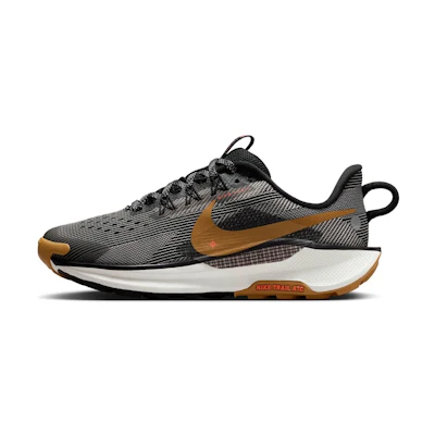(Youth) Nike Pegasus Trail 5 'Black Desert Ochre'