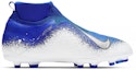 Order (JR) Nike Phantom VSN Elite DF FG MG 'Biru Pelumba Perak Metalik Putih' AO3289-410