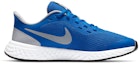 Order (Youth) Nike Revolution 5 'Game Royal Light Smoke Grey' BQ5671-403