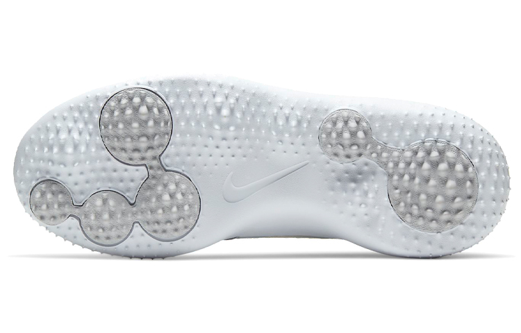 Details for (JR) Nike Roshe Golf Jr. ''Metallic Wit'' 909250-008