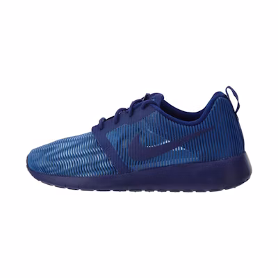 (Youth) Nike Roshe One Flight Weight 'Blue'
