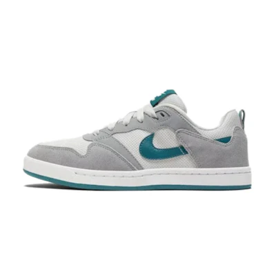 (Youth) Nike Alleyoop SB 'Particle Grey Geode Teal'