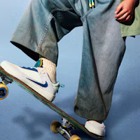Purchase (JR) Nike SB Day One '奶油法藍海岸綠' HM3720-141